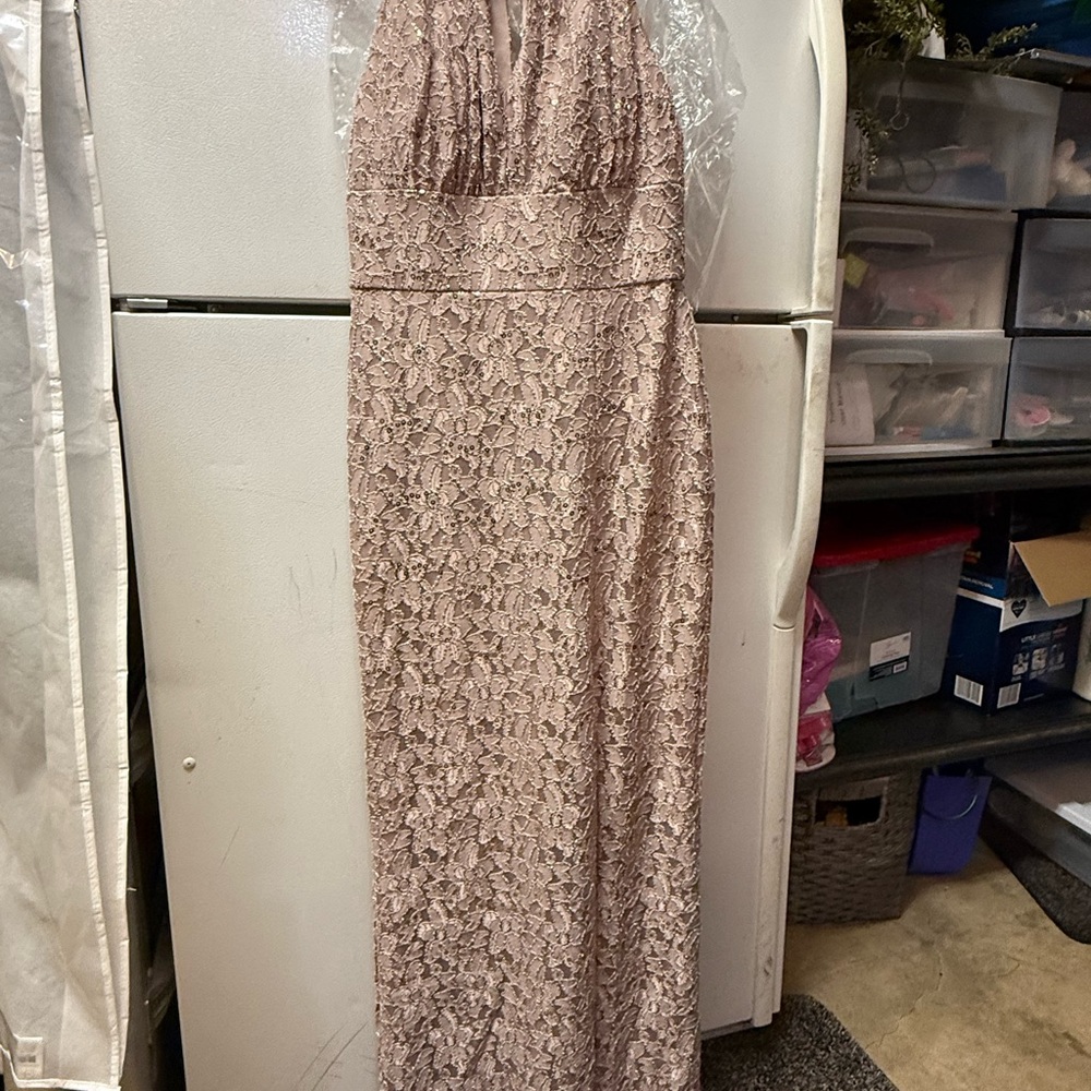 Oleg Cassini Sequin Lace Dress in Blush